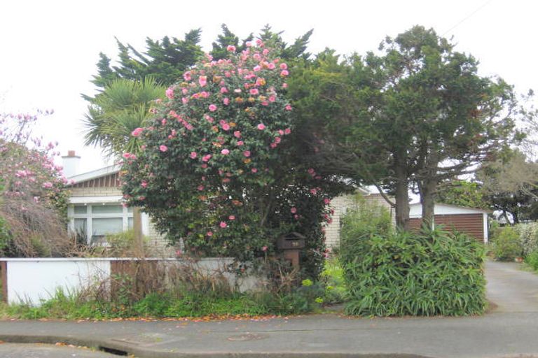 Photo of property in 17 Clark Street, Levin, 5510