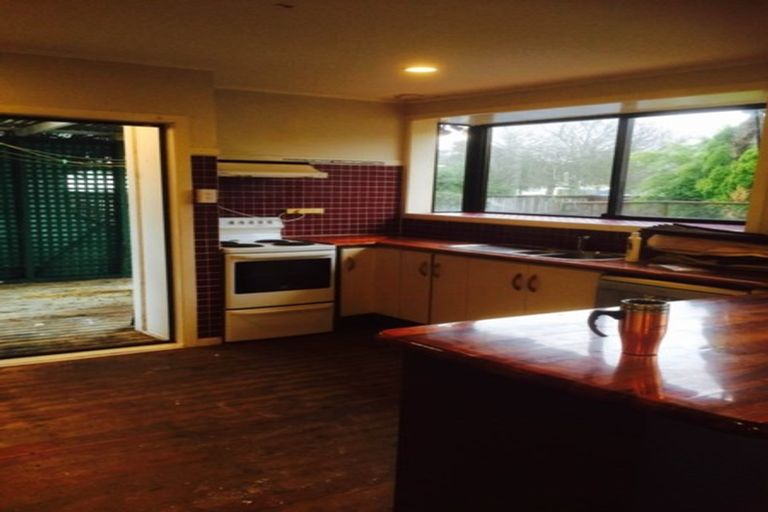 Photo of property in 55 Bruce Mclaren Road, Henderson, Auckland, 0612