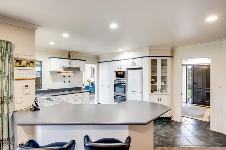 Photo of property in 17 Malbec Way, Greenmeadows, Napier, 4112