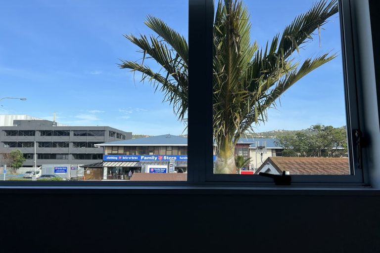 Photo of property in 38 Kings Crescent, Hutt Central, Lower Hutt, 5010