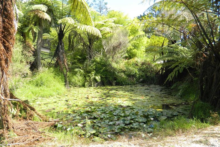 Photo of property in 205a Onekura Road, Waipapa, Kerikeri, 0295
