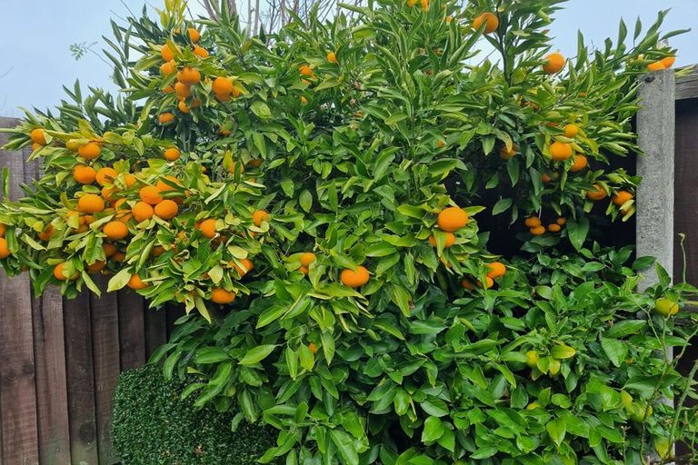 Photo of property in 5a Oakhurst Place, Russley, Christchurch, 8042