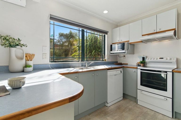 Photo of property in 33 Collingwood Street, Judea, Tauranga, 3110