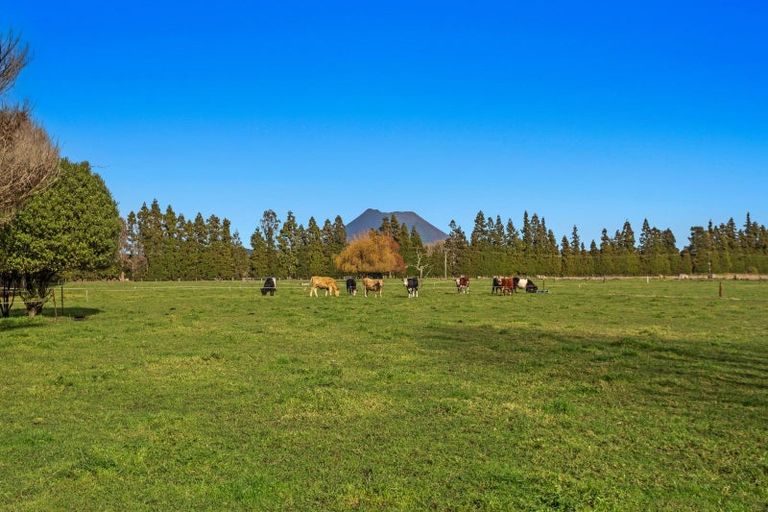 Photo of property in 25b Galatea Road, Te Teko, Whakatane, 3192