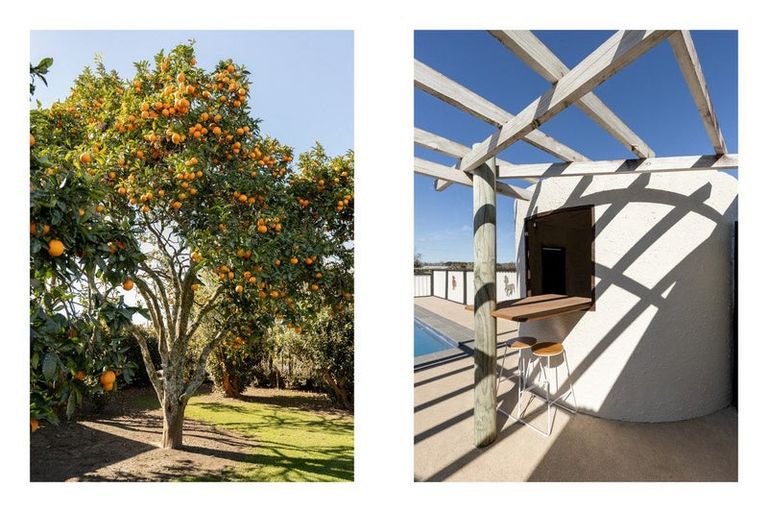 Photo of property in 84 Grieve Road, Otakiri, Whakatane, 3193