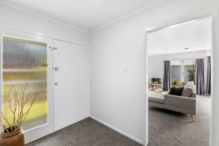 Photo of property in 59 Macarthur Street, Levin, 5510