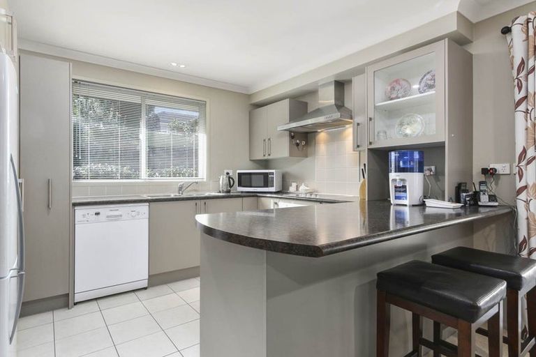 Photo of property in 82f Landscape Road, Mount Eden, Auckland, 1024