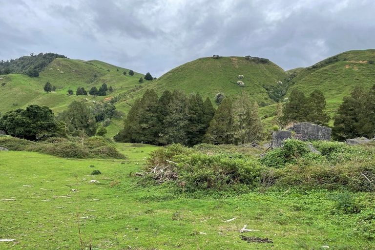 Photo of property in 3184 Te Anga Road, Te Anga, Te Kuiti, 3988