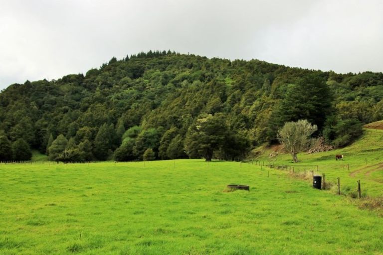 Photo of property in 1008 Tangowahine Valley Road, Tangowahine, Dargaville, 0372