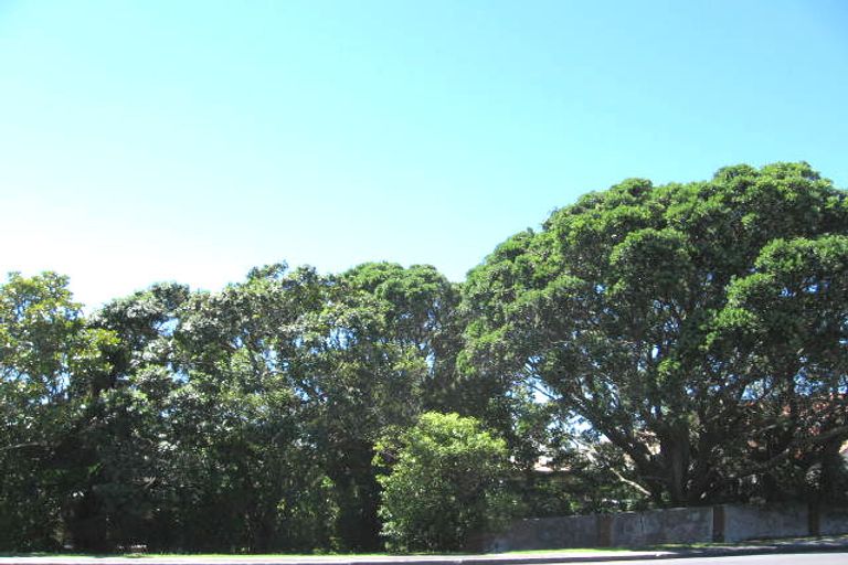 Photo of property in 3/39 East Coast Road, Milford, Auckland, 0620