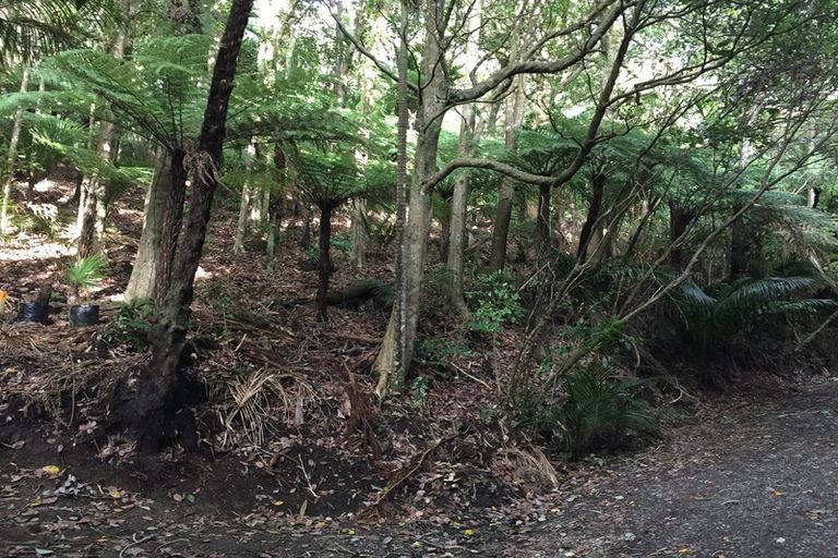 Photo of property in 16 Waikarekare Lane, Karekare, Auckland, 0772