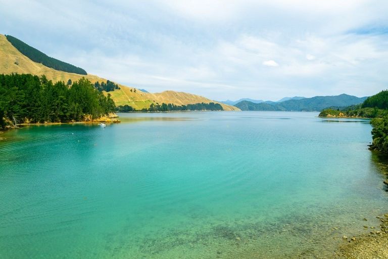 Photo of property in 464 Cissy Bay Road, Cissy Bay, French Pass, 7193