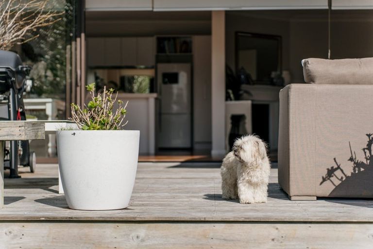 Photo of property in 1/8 Waller Avenue, Bucklands Beach, Auckland, 2012