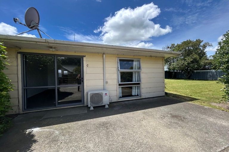Photo of property in 127 Albert Street, Terrace End, Palmerston North, 4410
