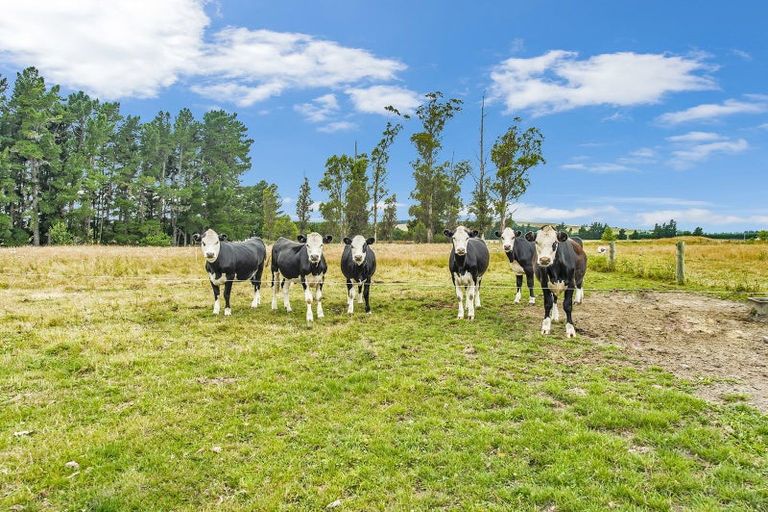 Photo of property in 2/340 Douglas Road, Amberley, 7482