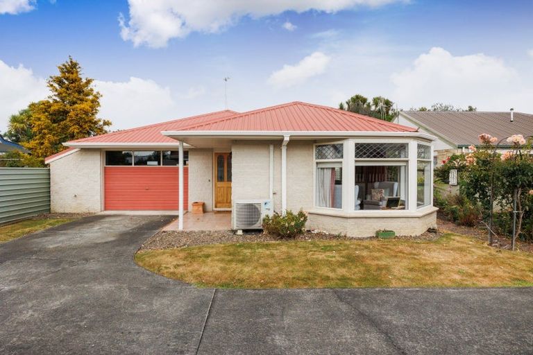 Photo of property in 114d Warwick Street, Feilding, 4702