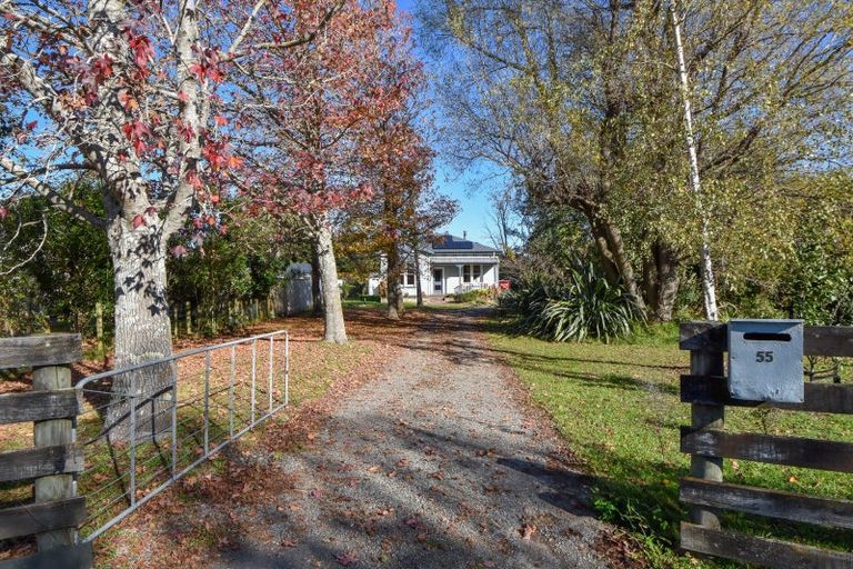 Photo of property in 55 Costley Street, Carterton, 5713