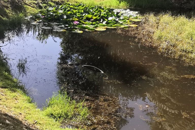 Photo of property in 89 Lake Ora Road, Te Kamo, Kamo, 0112