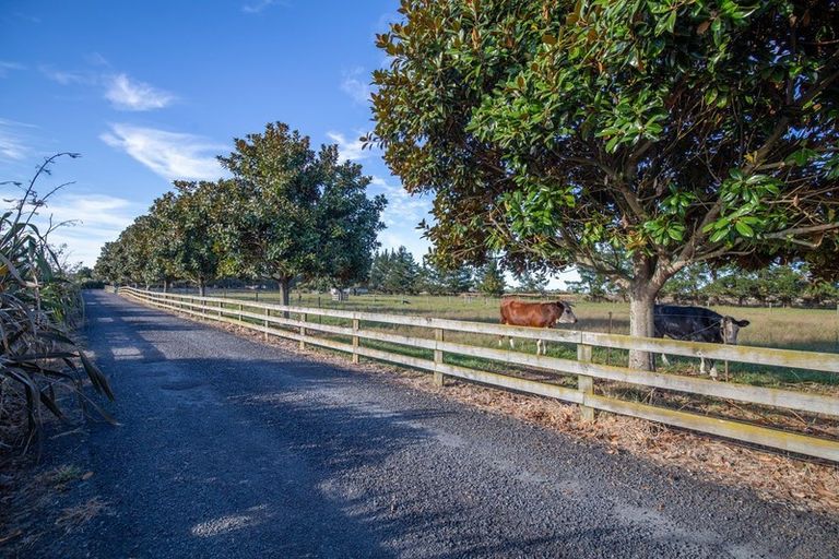 Photo of property in 296b Vaile Road, Newstead, Hamilton, 3286