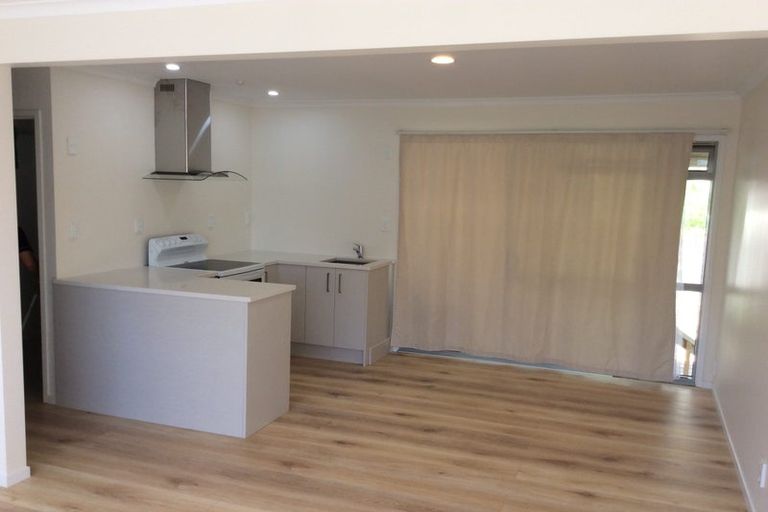 Photo of property in 17 Sapphire Place, Bayview, Auckland, 0629