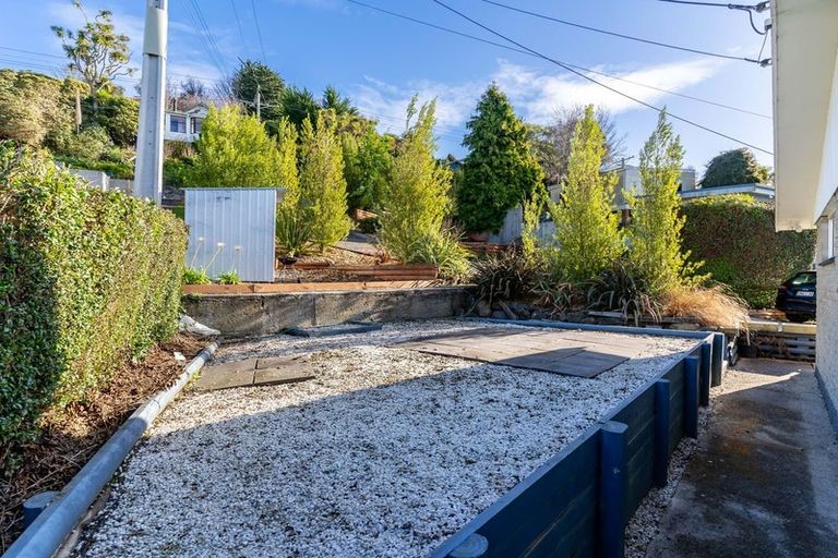 Photo of property in 56 College Street, Caversham, Dunedin, 9012