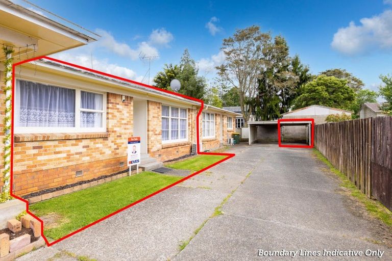 Photo of property in 141b Galloway Street, Hamilton East, Hamilton, 3216