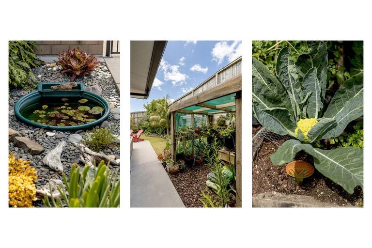 Photo of property in 13 Island View Heights, Coastlands, Whakatane, 3120