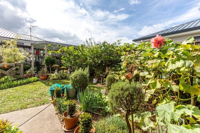Photo of property in 12 Flora Street, Paeroa, 3600