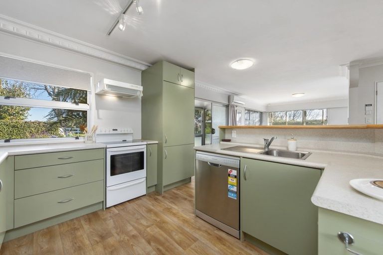 Photo of property in 99a Eighth Avenue, Tauranga, 3110