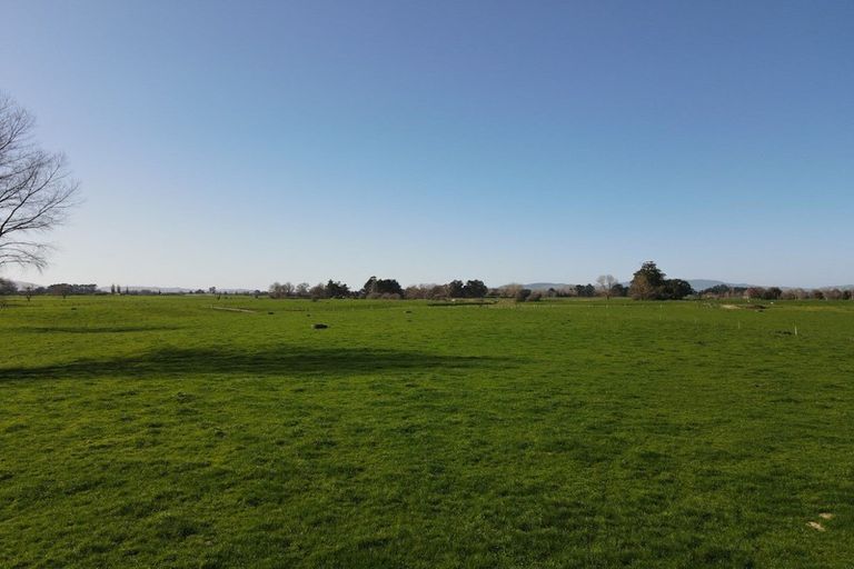 Photo of property in 91 Goodwin Road, Ohaupo, Cambridge, 3495