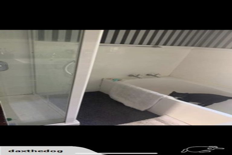 Photo of property in 81 Selwyn Street, Appleby, Invercargill, 9812