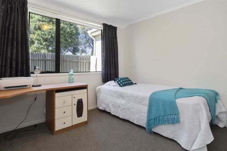 Photo of property in 241b Maungatapu Road, Maungatapu, Tauranga, 3112