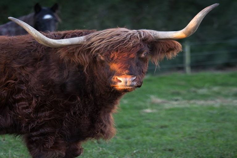 Photo of property in 17 Bishop Road, Hillsborough, New Plymouth, 4372