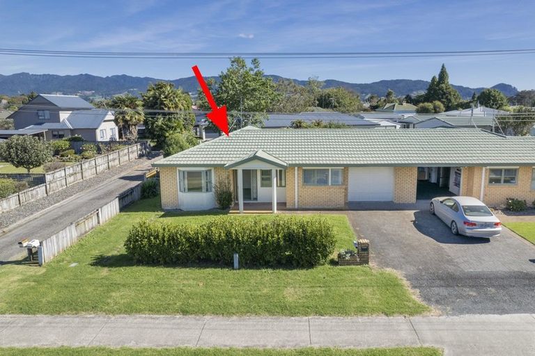 Photo of property in 8b Wills Road, Katikati, 3129