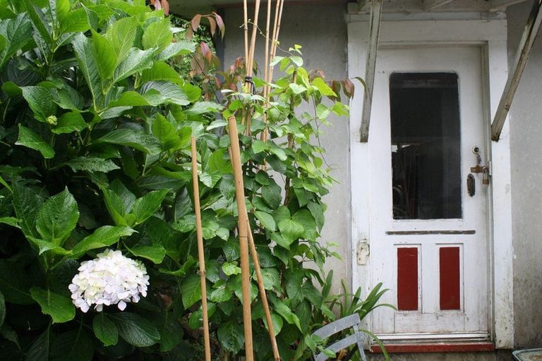 Photo of property in 21 Creagh Street, Tapu, Thames, 3575