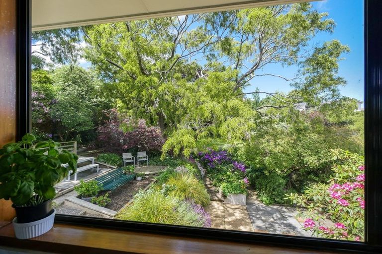 Photo of property in 174 Signal Hill Road, Opoho, Dunedin, 9010