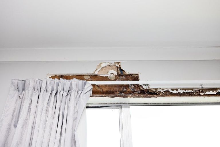 Photo of property in 130 Janet Street, Appleby, Invercargill, 9812