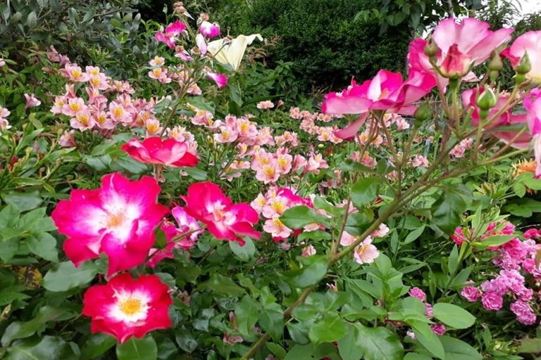 Photo of property in 77a Alexander Road, Raumati Beach, Paraparaumu, 5032