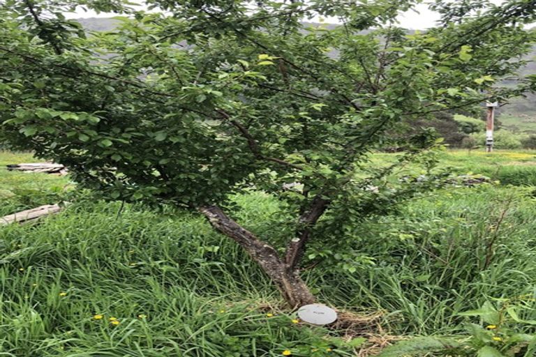 Photo of property in 2a Tongaporutu Road, Ahititi, Urenui, 4378