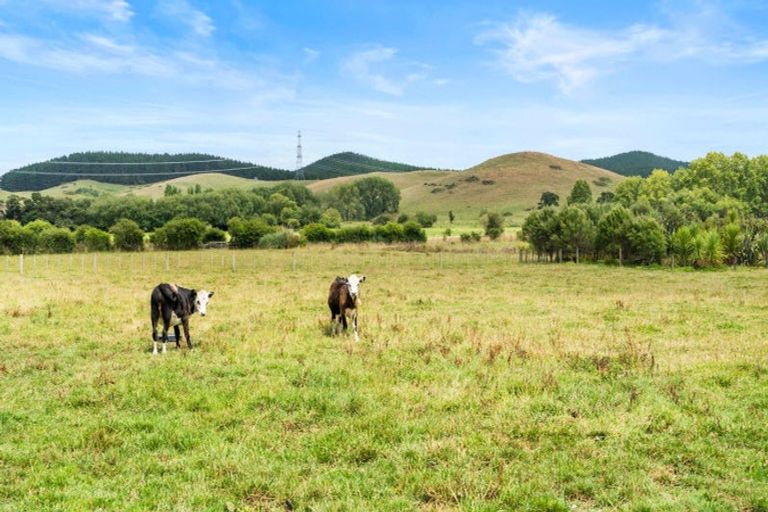Photo of property in 353 Kopuku Road, Maramarua Forest, Te Kauwhata, 3781