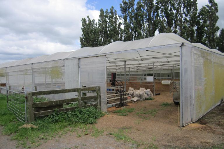 Photo of property in 300 Seddon Road, Waitoa, Te Aroha, 3393