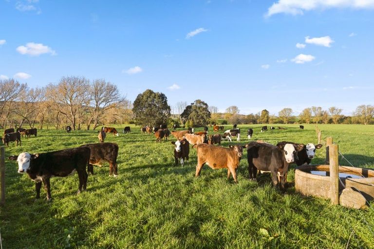 Photo of property in 124 Mangawara Road, Hoe-o-tainui, Morrinsville, 3373