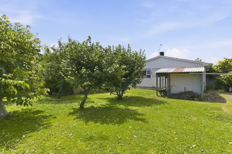 Photo of property in 6 Awatea Street, Levin, 5510