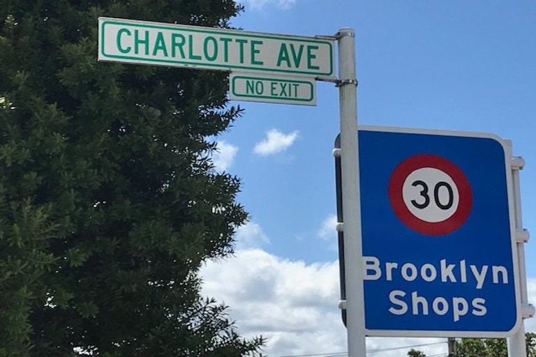 Photo of property in 19 Charlotte Avenue, Brooklyn, Wellington, 6021