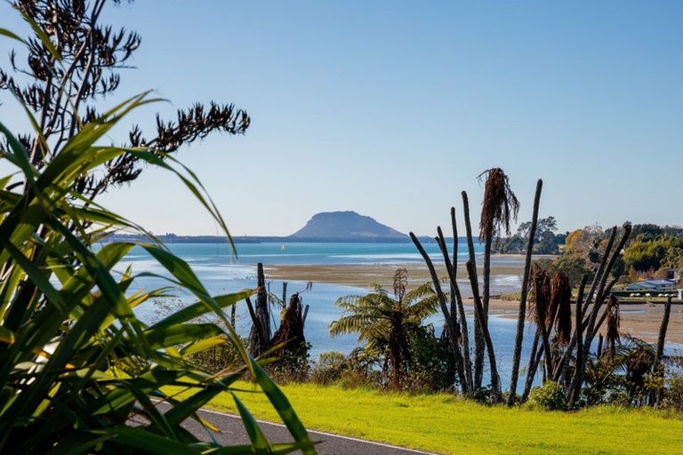 Photo of property in 293 Plummers Point Road, Whakamarama, Tauranga, 3172