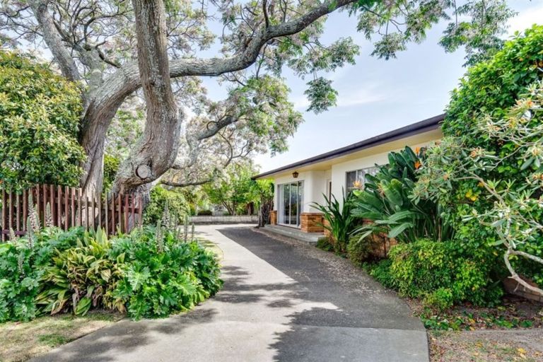 Photo of property in 37 Balliol Avenue, Pirimai, Napier, 4112