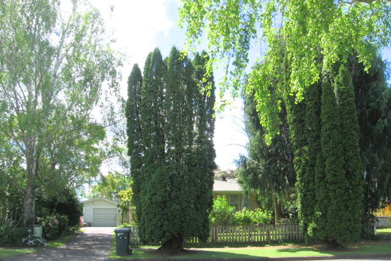 Photo of property in 10 Matai Avenue, Matamata, 3400