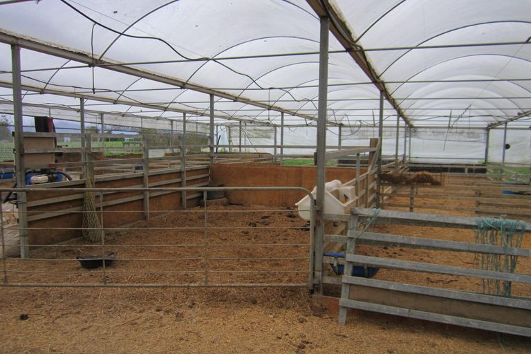 Photo of property in 300 Seddon Road, Waitoa, Te Aroha, 3393