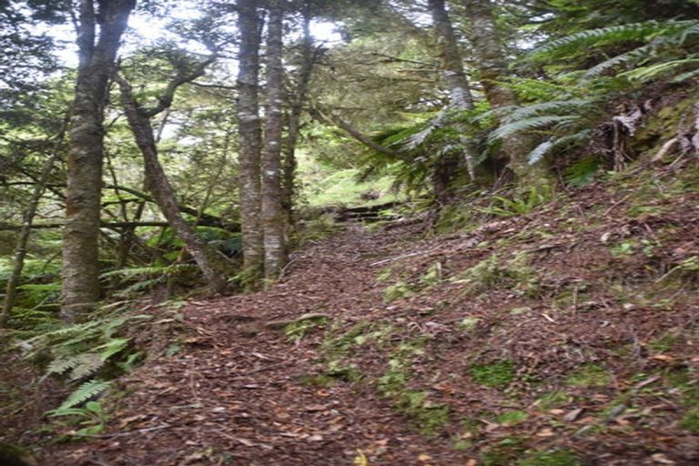 Photo of property in 2005 Ongarue Stream Road, Waimiha, 3998