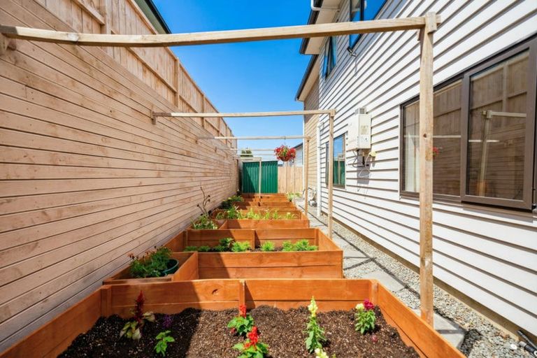 Photo of property in 31 Shibata Rise, Ranui, Auckland, 0612